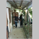 Stall02.jpg