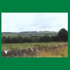 034_Tag2_Ballyroan_Landscape.jpg
