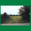 043_Tag2_Ballyroan_Weidegatter.jpg
