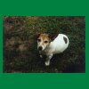 054_Tag3_Abbeyleix_Heidi.jpg
