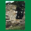 110_Tag5_Timahoe_ClaudiaVersteckt.jpg
