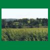 116_Tag6_Timahoe-Stradbally_Ruine.jpg